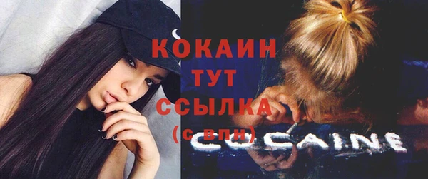 альфа пвп Бородино