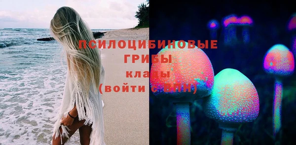 альфа пвп Бородино