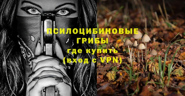 альфа пвп Бородино